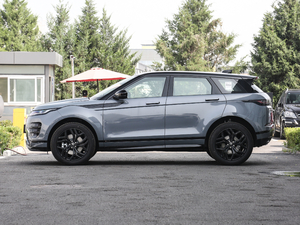 2020249PS R-DYNAMIC S \Ӱ (c)