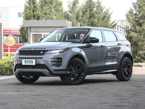 2020249PS R-DYNAMIC S \Ӱ ǰ45