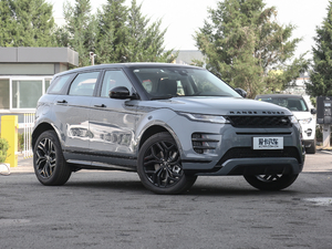 2020249PS R-DYNAMIC S \Ӱ w^