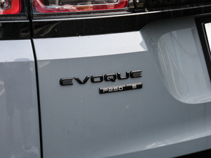 2020249PS R-DYNAMIC S \Ӱ ^