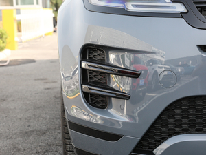 2020249PS R-DYNAMIC S \Ӱ ^