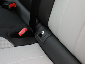 2020249PS R-DYNAMIC S \Ӱ g