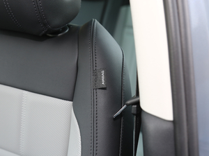 2020249PS R-DYNAMIC S \Ӱ g