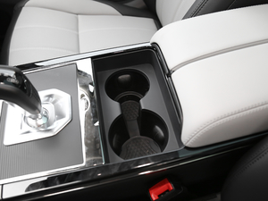 2020249PS R-DYNAMIC S \Ӱ g