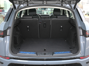 2020249PS R-DYNAMIC S \Ӱ g