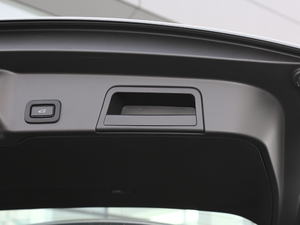 2020249PS R-DYNAMIC S \Ӱ g