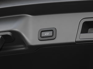 2020249PS R-DYNAMIC S \Ӱ g