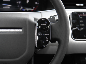 2020249PS R-DYNAMIC S \Ӱ п؅^