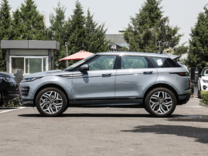 2020249PS R-DYNAMIC SE \ӿƼ (c)