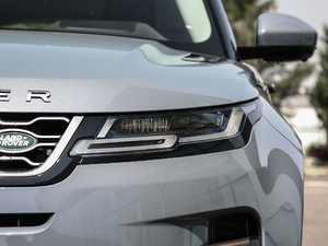 2020249PS R-DYNAMIC SE \ӿƼ 