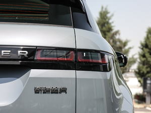 2020249PS R-DYNAMIC SE \ӿƼ β