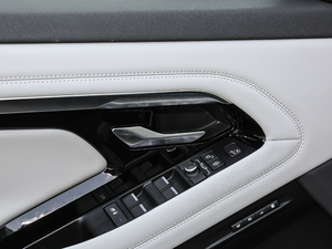 2020249PS R-DYNAMIC SE \ӿƼ g