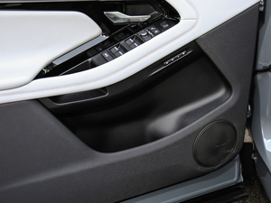 2020249PS R-DYNAMIC SE \ӿƼ ǰTg