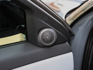 2020249PS R-DYNAMIC SE \ӿƼ g