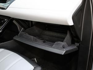 2020249PS R-DYNAMIC SE \ӿƼ 