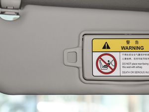 2020249PS R-DYNAMIC SE \ӿƼ g