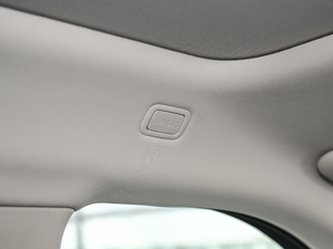 2020249PS R-DYNAMIC SE \ӿƼ g