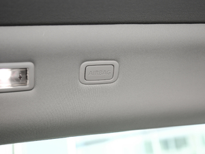 2020249PS R-DYNAMIC SE \ӿƼ g