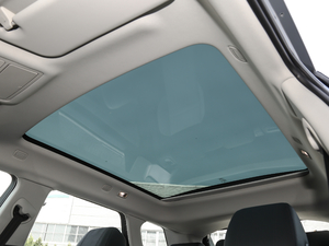 2020249PS R-DYNAMIC SE \ӿƼ g