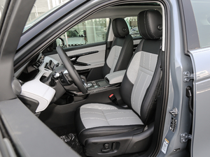 2020249PS R-DYNAMIC SE \ӿƼ {