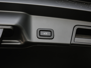 2020249PS R-DYNAMIC SE \ӿƼ g