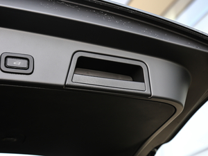 2020249PS R-DYNAMIC SE \ӿƼ g