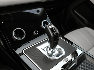 2020249PS R-DYNAMIC SE \ӿƼ QU