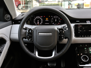 2020249PS R-DYNAMIC SE \ӿƼ P