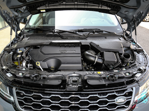 2020249PS R-DYNAMIC SE \ӿƼ lәC