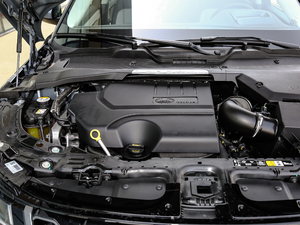 2020249PS R-DYNAMIC SE \ӿƼ 