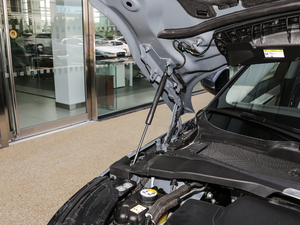 2020249PS R-DYNAMIC SE \ӿƼ 