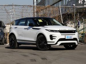 2020249PS R-DYNAMIC S װl\Ӷư w^