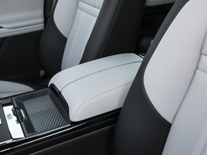 2020249PS R-DYNAMIC S װl\Ӷư 