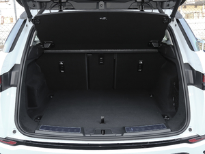 2020249PS R-DYNAMIC S װl\Ӷư g