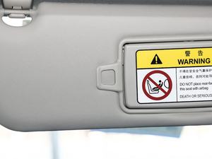 2020249PS R-DYNAMIC S װl\Ӷư g