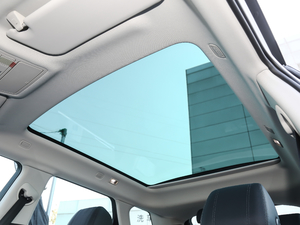 2020249PS R-DYNAMIC S װl\Ӷư g