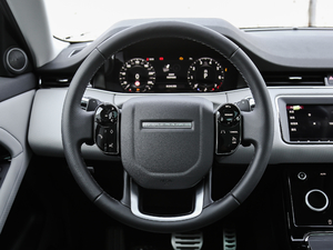 2020249PS R-DYNAMIC S װl(f)\Ӷư P