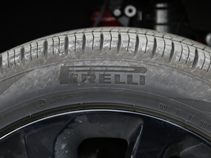 2020249PS Aư ݆̥Ʒ