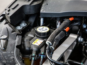 2021款P300e 性能科技版 其它