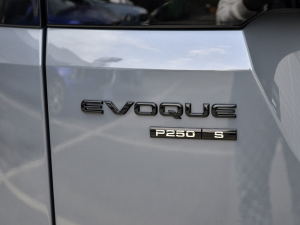 2021249PS R-DYNAMIC S ׺\Ӱ ^