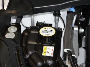 2021249PS R-DYNAMIC S ׺\ӿƼ  