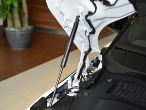 2021249PS R-DYNAMIC S ׺\ӿƼ  