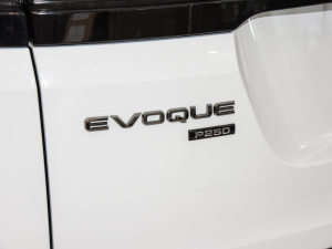 2021OL 249PS  (x)(ji)^