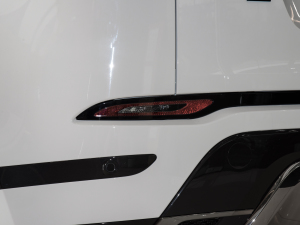 2021OL 249PS  (x)(ji)^