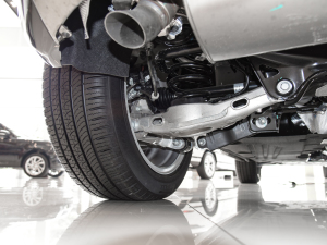 2021OL 249PS  (x)(ji)^