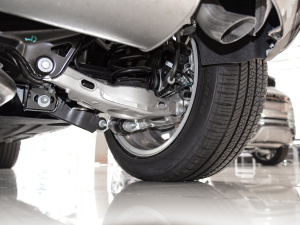 2021OL 249PS  (x)(ji)^