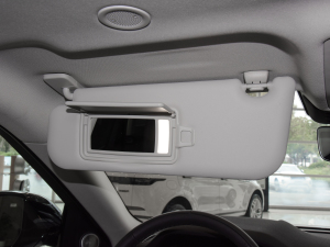 2021OL 249PS  ꖰ壨