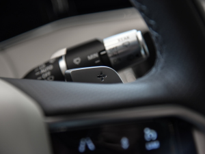 2021OL 249PS  п؅^(q)