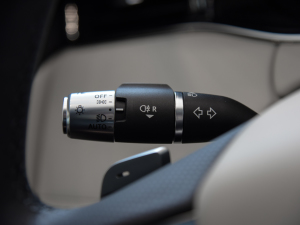 2021OL 249PS  п؅^(q)