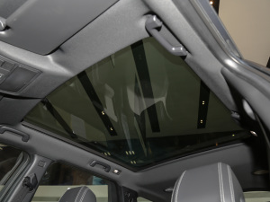 2021249PS R-Dynamic SE ܿƼ 5 g